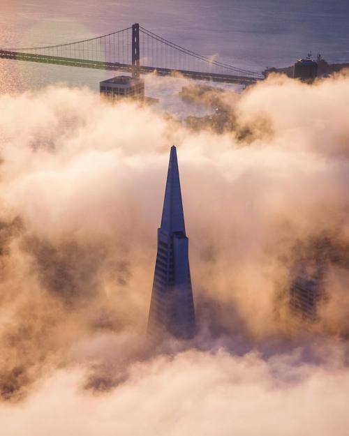 tobyharrimanphotography:  High above the fog.  #sanfrancisco #alwayssf  (at Transamerica Pyramid) 