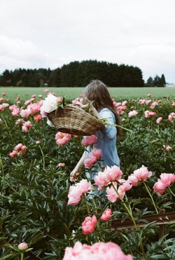 marci1900:  check out my 2nd blog ☮ I follow everyone back there  ☆☆☆ http://coffnix.tumblr.com/ ☆☆☆