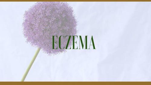 Herbs for Eczema Treatment – Application and Benefits Medicinal herbs for eczema treatment focus pri