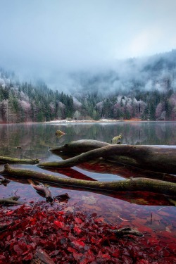 sublim-ature:  Feldberg, GermanyMuharrem