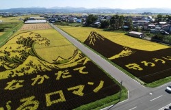 mangabae:  Japanese rice art. 