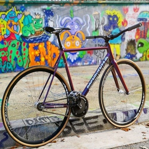 nauj-aral-the-one: hizokucycles: Reposted from @fixedpoets - Ready to enjoy the weekend with spring 