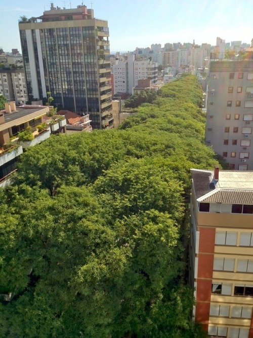 solarpunk-aesthetic:Rua Gonçalo de CarvalhoPorto Alegre, BrasilImage sources: x x x