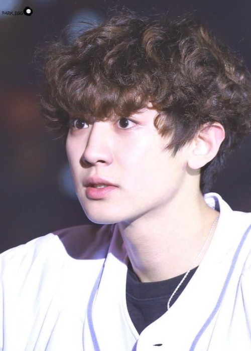 pcys-l: Chanyeol’s curly hair compilation