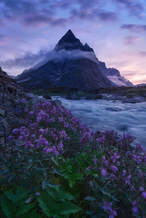 coiour-my-world:Greenland | Max Foster