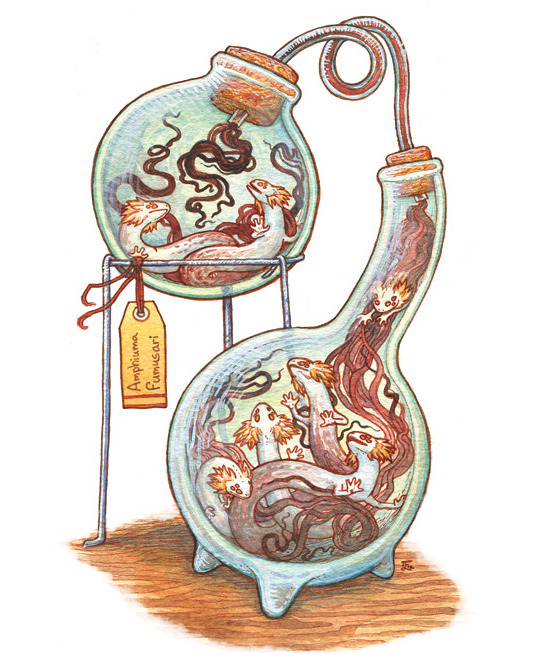inklingart:  siryl:  Emma Lazauski a.k.a. Emla a.k.a. Inkling has twenty bottled
