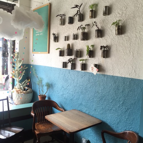 thriftedrose:coffee dates
