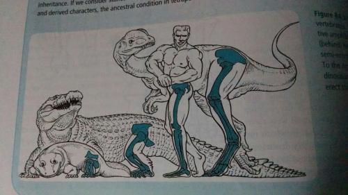 the-tabularium: snakefeathers:We need to talk about this picture in my textbook. Look at how fucking