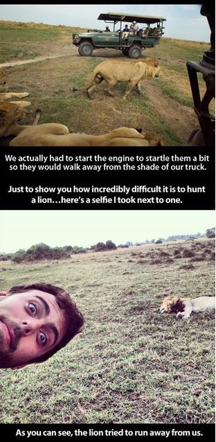 aggressica:  This is important. Stop big cat hunting. This literally is making me