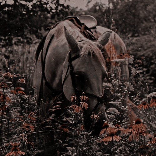 imsogifull - 𝗚𝟏's ɢɪʀʟ ۰ ⸂ぬ ࣪˖ ⋆ ࣪ 🕷 !