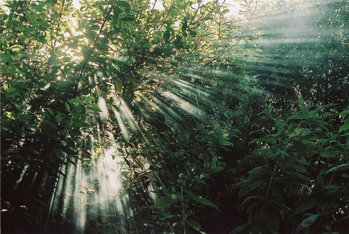 bittens:untitled by will-roberts on Flickr.