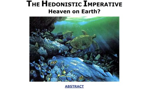 Hedweb.com