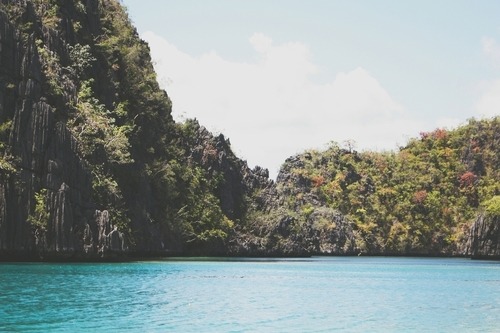 surfursparadise:   ☀follow for more summer☀