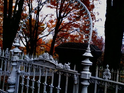 Porn Pics chaosandblueeyes:Boxwood Cemetery, Medina