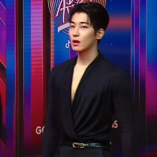 Excuse Me, Jeon Wonwoo?