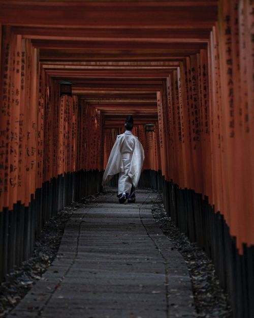 伏見稲荷大社 #伏見稲荷大社 #京都 #伏見 #⛩ (Fushimi Inari-taisha) https://www.instagram.com/p/CPxiF3Wtn-4/?utm_medium