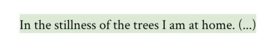 gaycommunist:into the woodsfranz kafka “letters to friends, family, and editors”