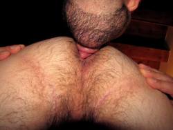 realmenstink:  frenchrococolovesporn:mmmmIT’S WHAT I DO……….WANT A SCRUFFY BEARD ALL UP IN YOUR ASS ???