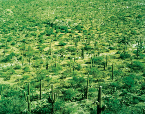 mpdrolet:Upward and Then Eternal Ends, 2009David Benjamin Sherry