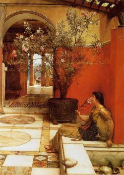 An Oleander Sir Lawrence Alma-Tadema - 1882