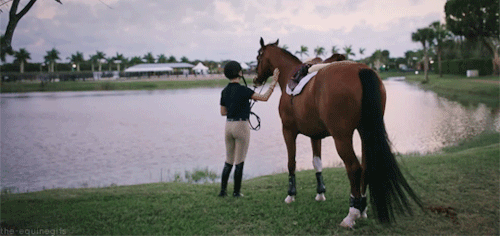 p-i-a-f-f-e: this video is one of my favorite things