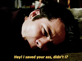 hoechlder:au: derek returns to beacon hills to find stiles paralysed at the vet clinic.