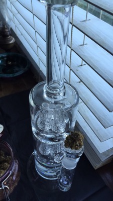 shay-gnar:  new bong and new weed, life is good