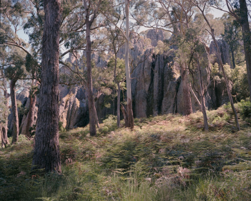 williambroadhurst:Hanging Rock, VIC with @hladky