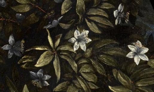 renaissance-art:  Details of Flowers