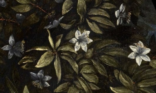 Porn Pics renaissance-art:  Details of Flowers