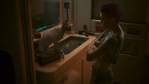 Cat Concert (Private Performance)