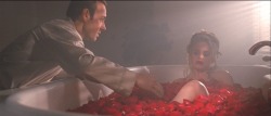 thedoorss:  “I feel like I’ve been in a coma for the past twenty years and I’m just now waking up.”   American Beauty (1999, Sam Mendes) 