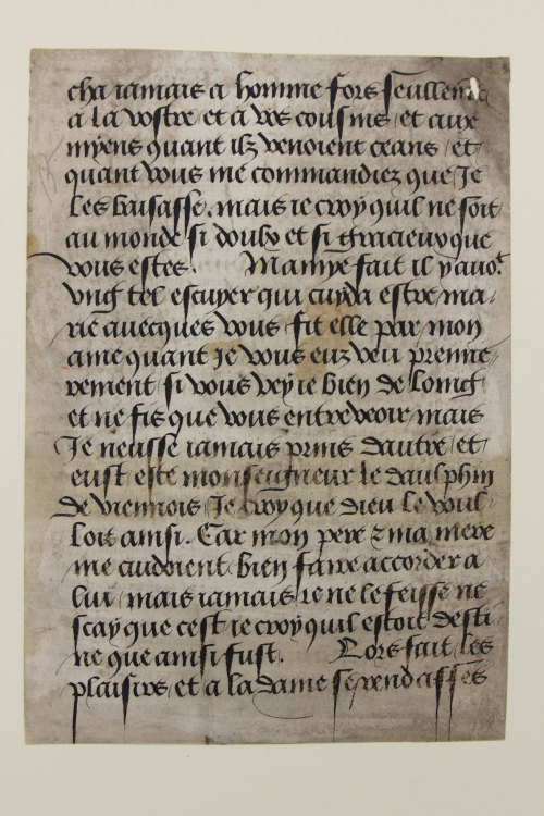 muspeccoll: Manuscript Monday: This week’s manuscript is one of just a handful in our collecti