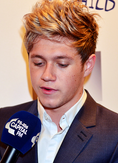 niallmyirishsnowflake:  x 