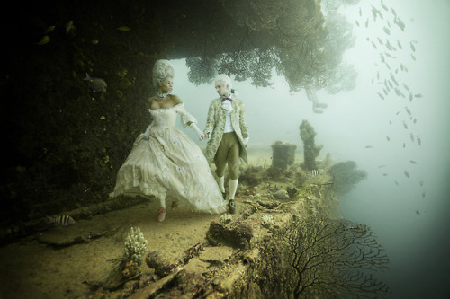 ohthentic:  carmidoll:  Andreas Franke  Oh 