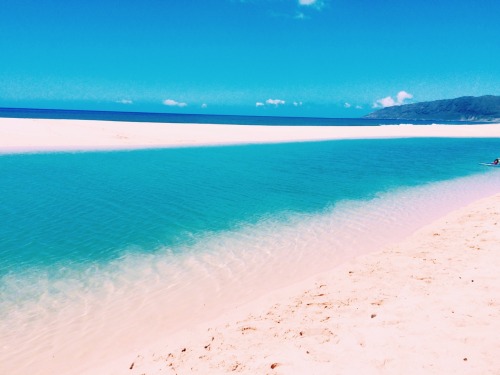 christian-harvey:  It was perfect