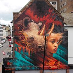 crossconnectmag:  SONNY Street Artist Sonny is a British-born artist, living in South Africa. He paints gorgeous street art murals to raise awareness for endangered animals. For more check out his website and Instagram.Enjoy past street art features