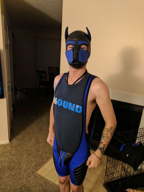 otter-pup-the-pup:  I earned my first piece out of five from sir! My singlet!  AROOOOOOOOO!!!  Such a cute pup!