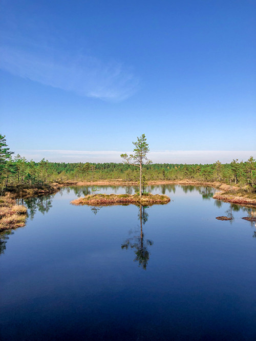 Lahemaa National Park - Estonia (by annajewels) https://www.instagram.com/annajewels/