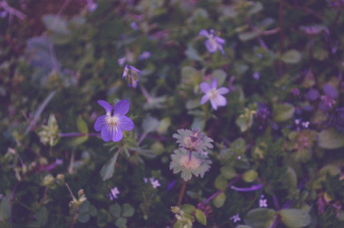 isthunn:Photo by Monica Marie