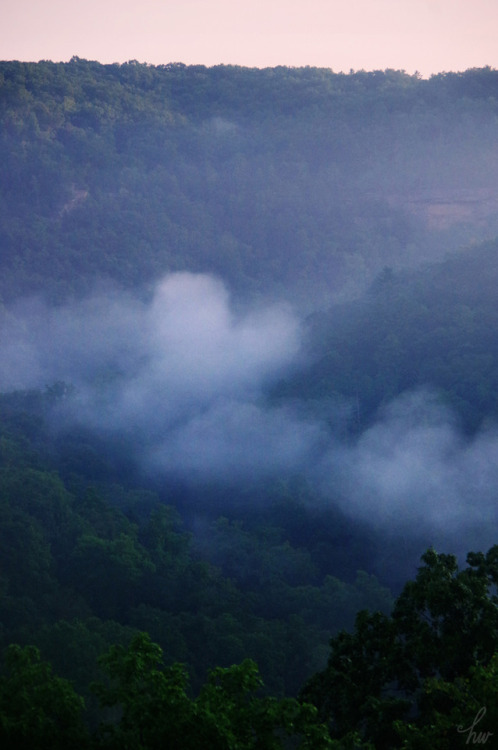 frolicingintheforest:The fog knows how much I love it, so it sent me a heart! &lt;3