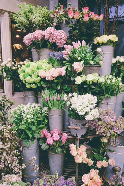 expressions-of-nature:by memakeLiberty Flowers, London