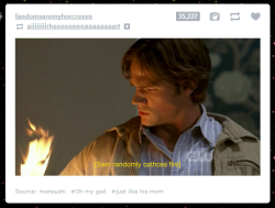 you-cut-me-loose:  sherlockwithasonic:  fuck you tumblr  i tried to click the reblog button in the picture 