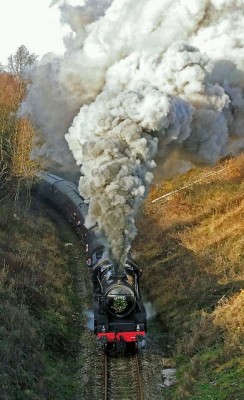 railroad-girl-in-germany