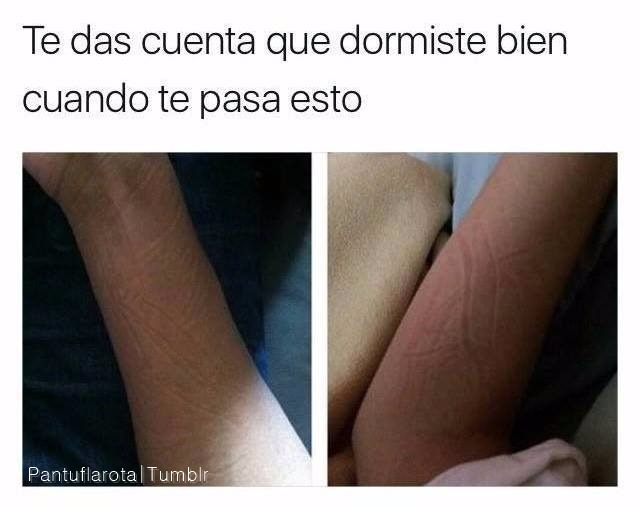 Pantufla💗Rota 