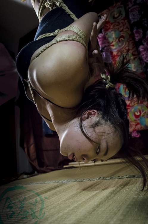 若い婦人 - The young Lady. Kinbaku Shibari Bondage Hanikamu