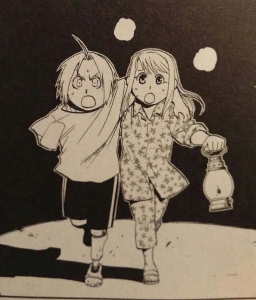 bleedingcoffee42:  From FMA Perfect Guidebook 3