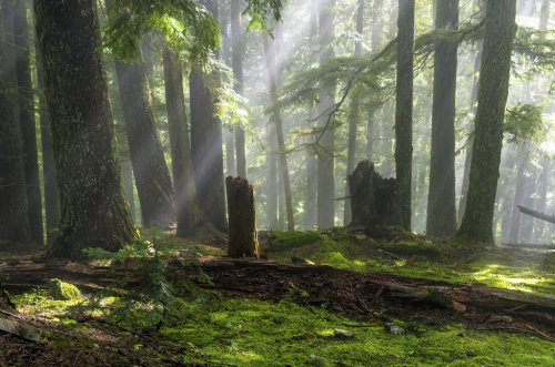 Emerald Beams by jasonwilde
