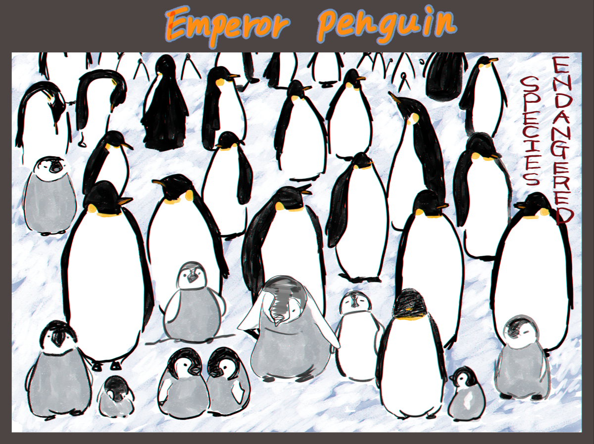 コウテイペンギン Explore Tumblr Posts And Blogs Tumgir コウテイペンギン Explore Tumblr Posts And Blogs Tumgir