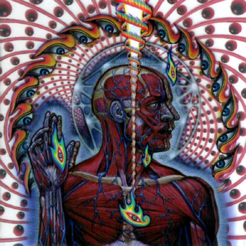 pissedoffbarberbutcher:  Alex Grey